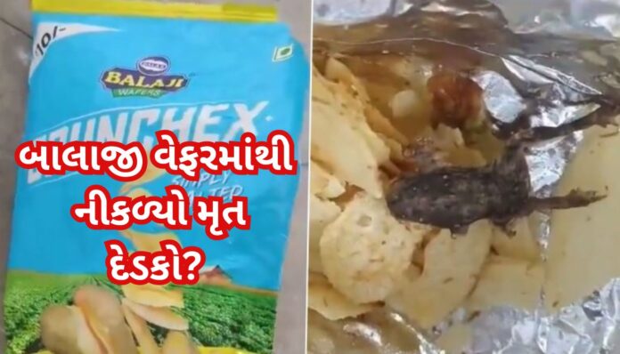 બાલાજીની વેફરમાંથી નીકળ્યો મૃત દેડકો