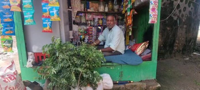 મીઠા લીમડાનું વિનામૂલ્યે વિતરણ કરી સેવા કાર્ય કરતા સુરેશભાઈ ધાધલ