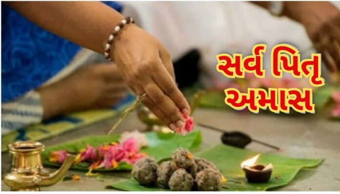 સર્વ પિતૃ અમાસ પર જાણી લો શ્રાદ્ધ અને તર્પણનો સમય